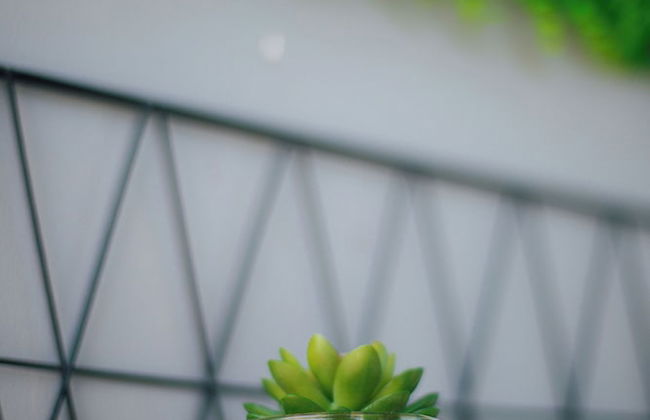 Remarkable 3-bed Apartment in Zanzibar - Photo 27