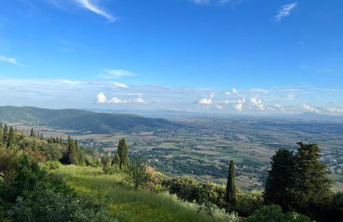Apartament Monastero - Photo 33