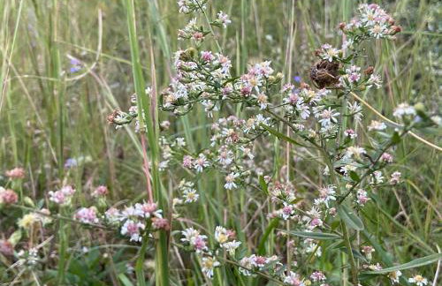 Newly Listed-Private 25-Acre Escape Near Red River Gorge - Foto 148