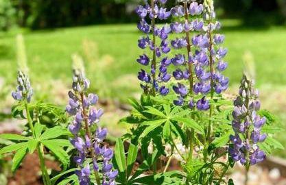 The Craftsman Farmhouse with Modern Flair - Photo 34