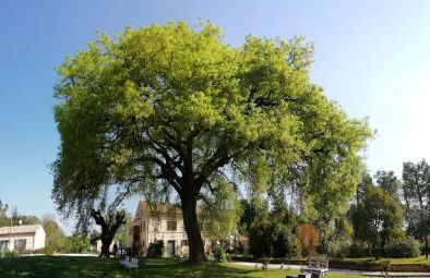 Tenuta del Viandante - Foto 57