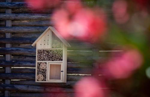 La Résidence Salamandre idéal couples & familles grands studios à Saint-Marc-sur-mer à 500m des plages proche de La Baule - Foto 9