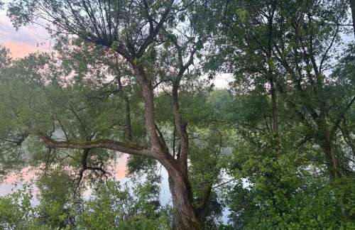 Ferienwohnung Sorpesee - Foto 9