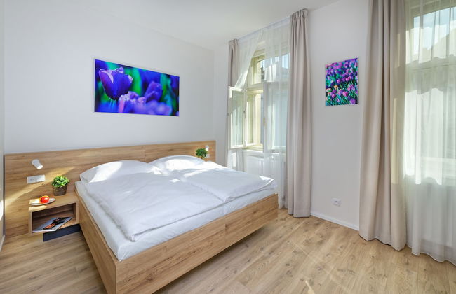 DownTown Suites Jugoslavska - Photo 30