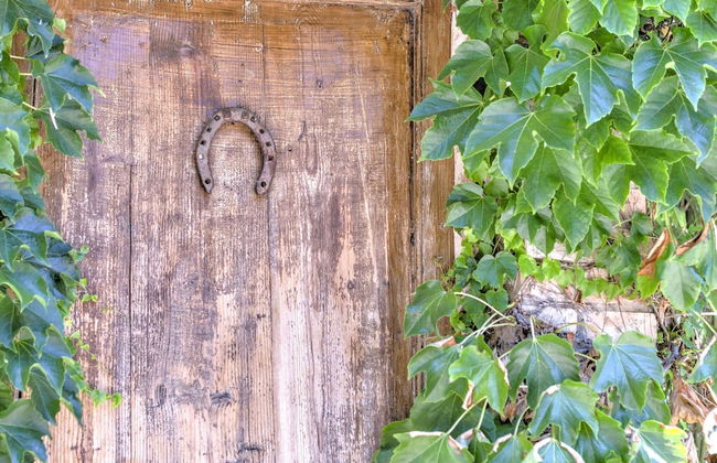 Farmhouse in Marsciano With Vineyards Olive Groves - Foto 64