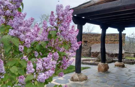 La Era de la Tía Donata - Foto 18