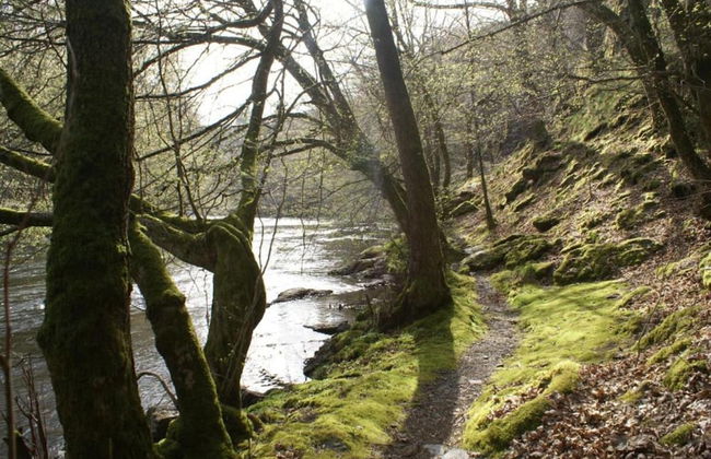 Holiday Home in Houffalize Near Nisramont - Photo 26