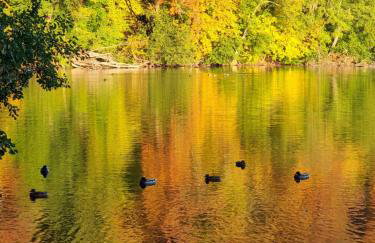 Apartament Fryderyk Łagów - Foto 54