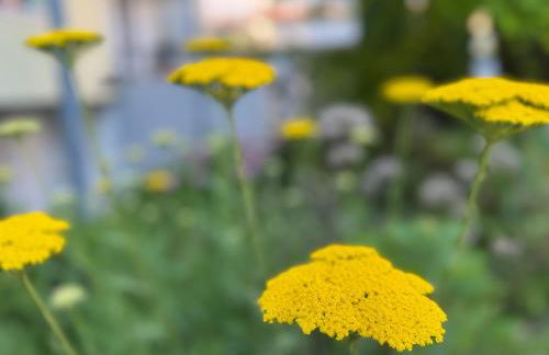 Blue Loft - Boutique Apartment - Bad Krozingen - Foto 41