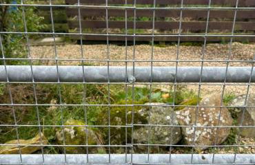 Sanda View, Isle of Arran - Photo 40