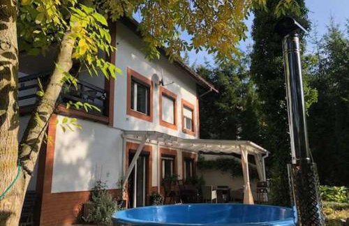 Biały Dom Pod Sosnami - Foto 8