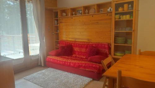 Studio 4 personnes, Les Rochers Blancs, La joue du loup - Foto 1