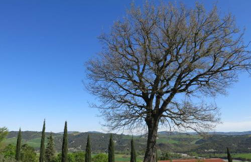 Agriturismo il Palagetto - Foto 34