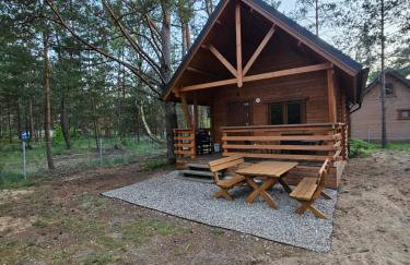 Leśna Przystań Borsk - Foto 2