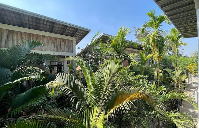 Treetop Bungalows - Foto 14