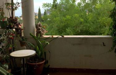 Appart Chez Papé - Proche des Calanques - Foto 10