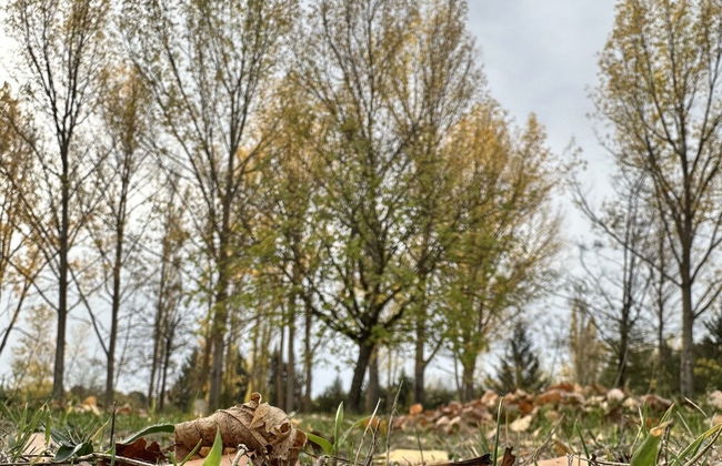 Finca Paraíso Rural - Foto 20