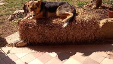 B&B Naturin - Eco Farm - Foto 4