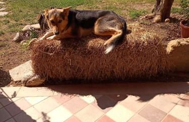 B&B Naturin - Eco Farm - Foto 4