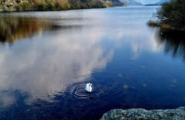 Llanberis Lodges - Photo 45
