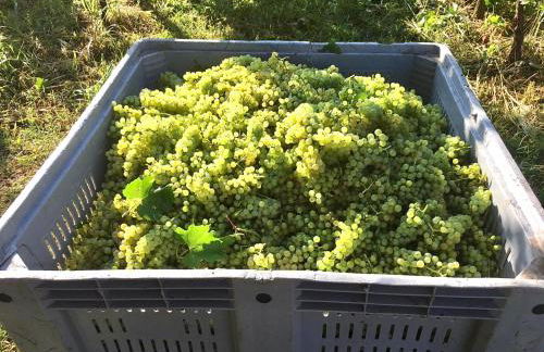 Incanto del Garda - Foto 25