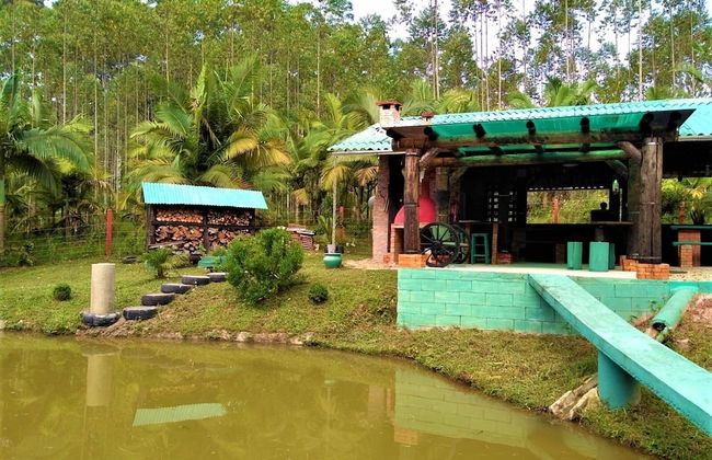 Sitio Libardo - Nova Trento - SC - Foto 38