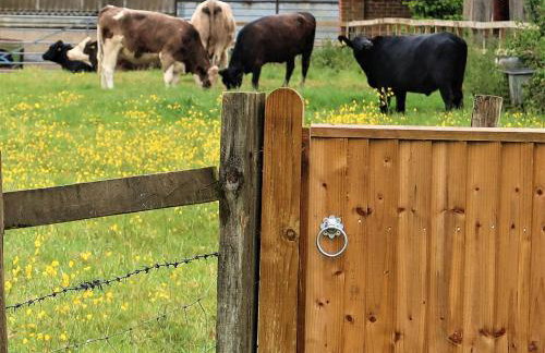 Holiday Home Oak Cottage by Interhome - Foto 62