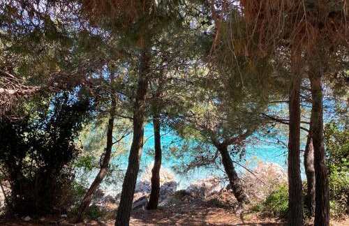 Villa Castelina - Foto 28