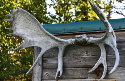 Legacy Mountain Lodge on 40-Acre Ranch with Views! - Foto 39