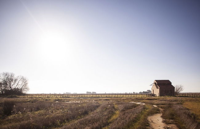 Be & See in Nature - Foto 13