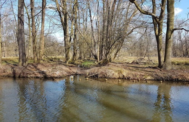 Holiday Home Kupa Comfortable Vacation Home - Foto 3