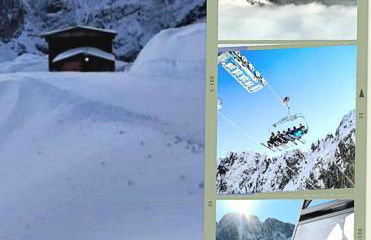 Stella alpina - Foto 3