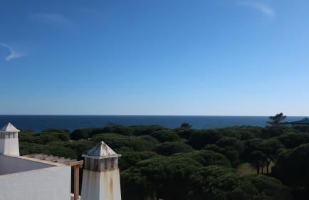 Casa Bambu, Paraiso na Terra - Foto 11