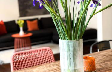 Apartments "Am Rheinorange", Netflix & Prime - Foto 13