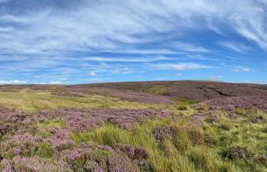 Hawkshead Cottage - Foto 29