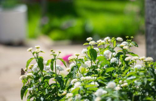 Villa Isabella - Foto 40