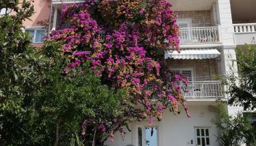 Apartment Anita - Foto 1