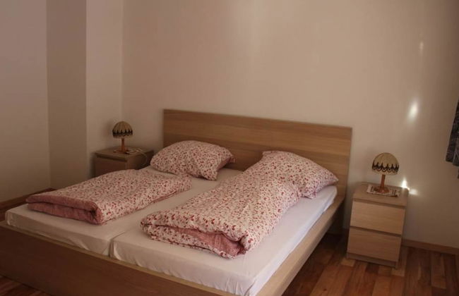 Silberdistel - Foto 14