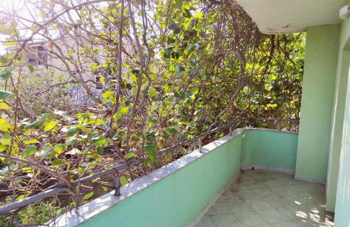 Green house - Foto 17