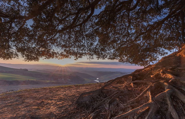 Fattoria Pieve a Salti - Foto 53