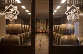 Agriturismo Tra gli Ulivi, Chiappini Winery - Photo 57