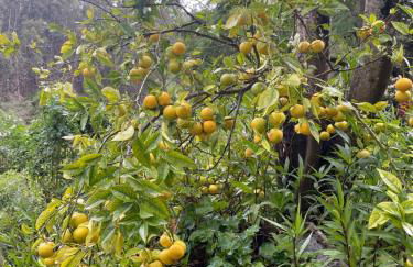 Finca El Lance Zumacal - Foto 20