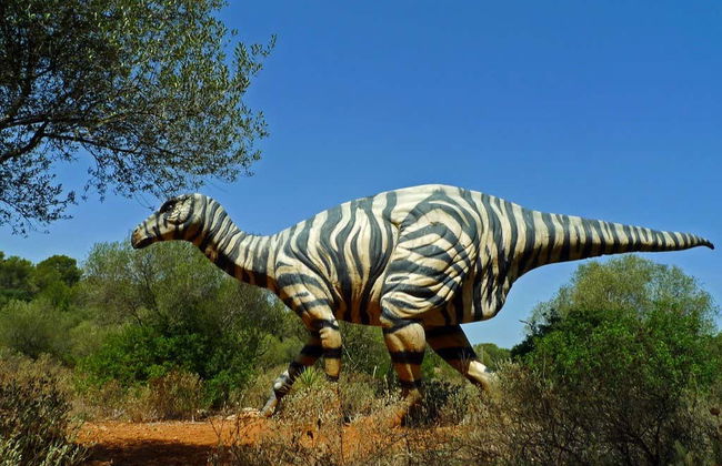 Oferta: Dreams Park Show al completo - Foto 5