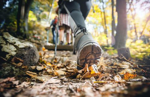 Weitblick Winterberg - Foto 30