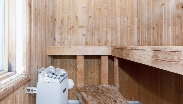 4 Person Holiday Home in Ega - Foto 2, Sauna
