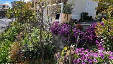 Tropical House - Foto 3