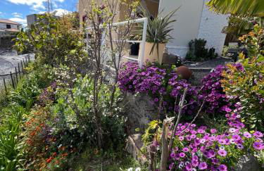 Tropical House - Foto 3