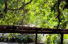 Apartamento Zion reserve suites - Photo 6