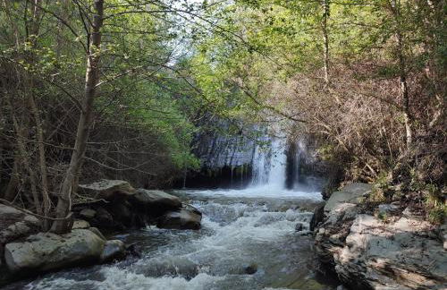 Casa Alpujarreña Fina Número 27 - Photo 59