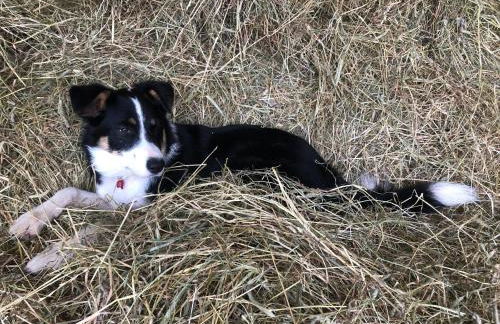 The Studio at Pitmeadow Farm - Photo 17